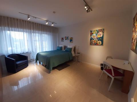 Annexe studio 28sqm - Hotel Domus